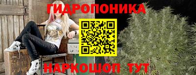 крисы Нарткала