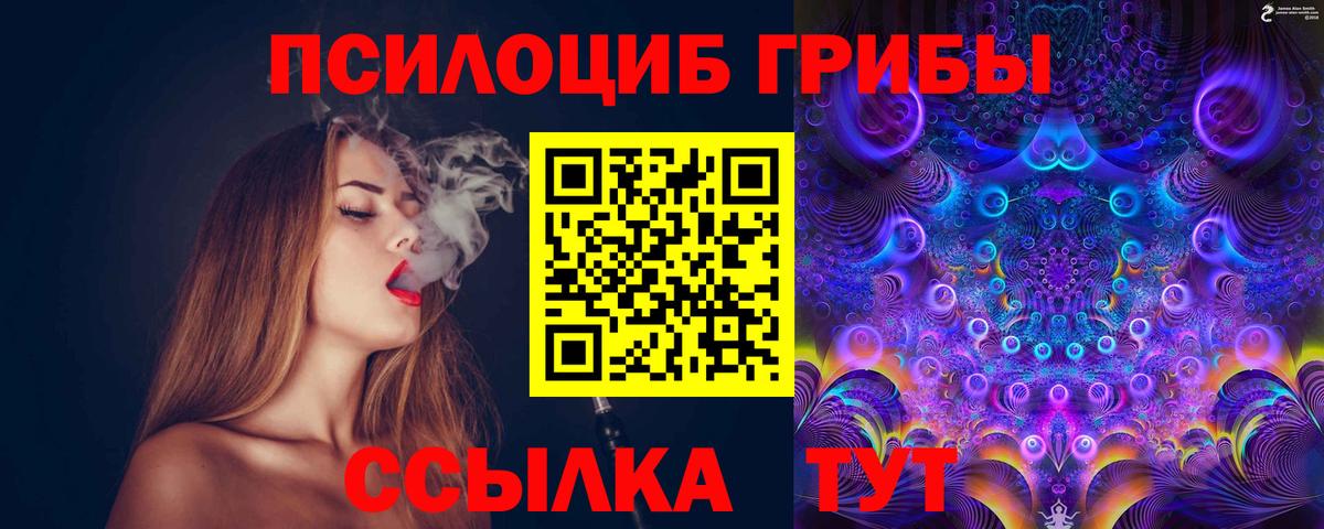 Галлюциногенные грибы Psilocybe Нягань