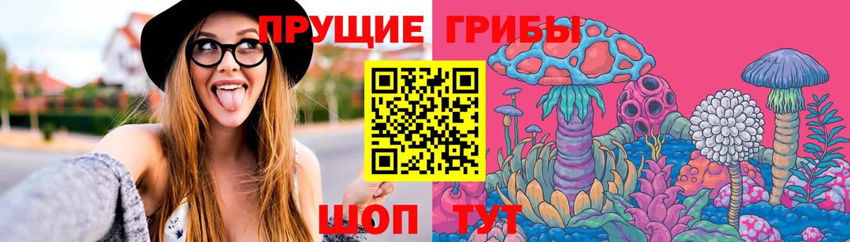 Псилоцибиновые грибы Psilocybe  Вход с VPN  Псилоцибиновые грибы Psilocybe  Нягань 
